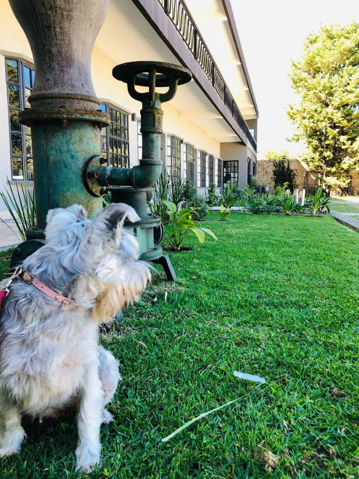 Hotel Rocaval San Cristobal De Las Casas Luaran gambar